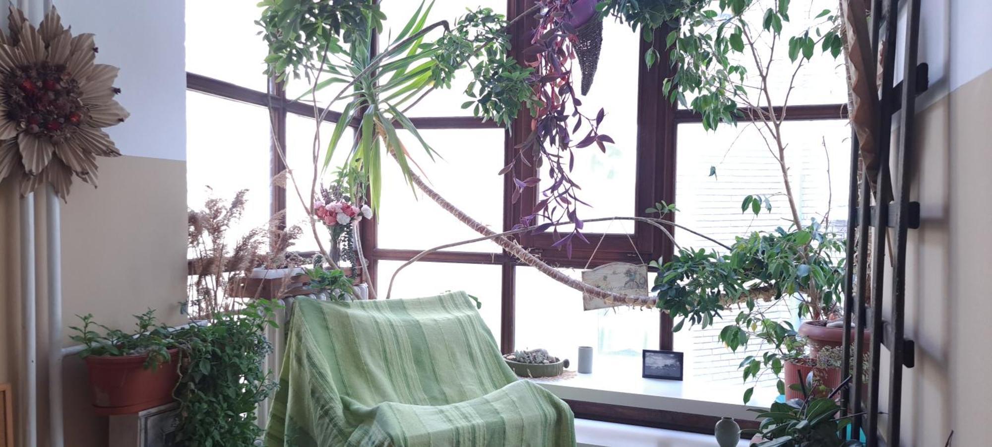 Green Land House Belgrado Buitenkant foto
